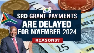 SRD R370 Grant Payment Delays in November 2024